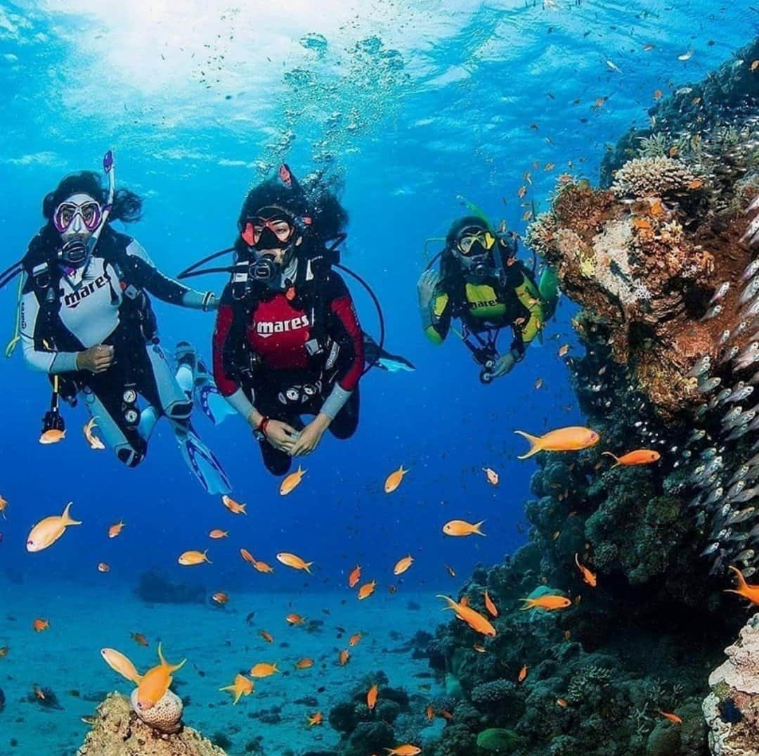 Grande Island Try Dive + Photos