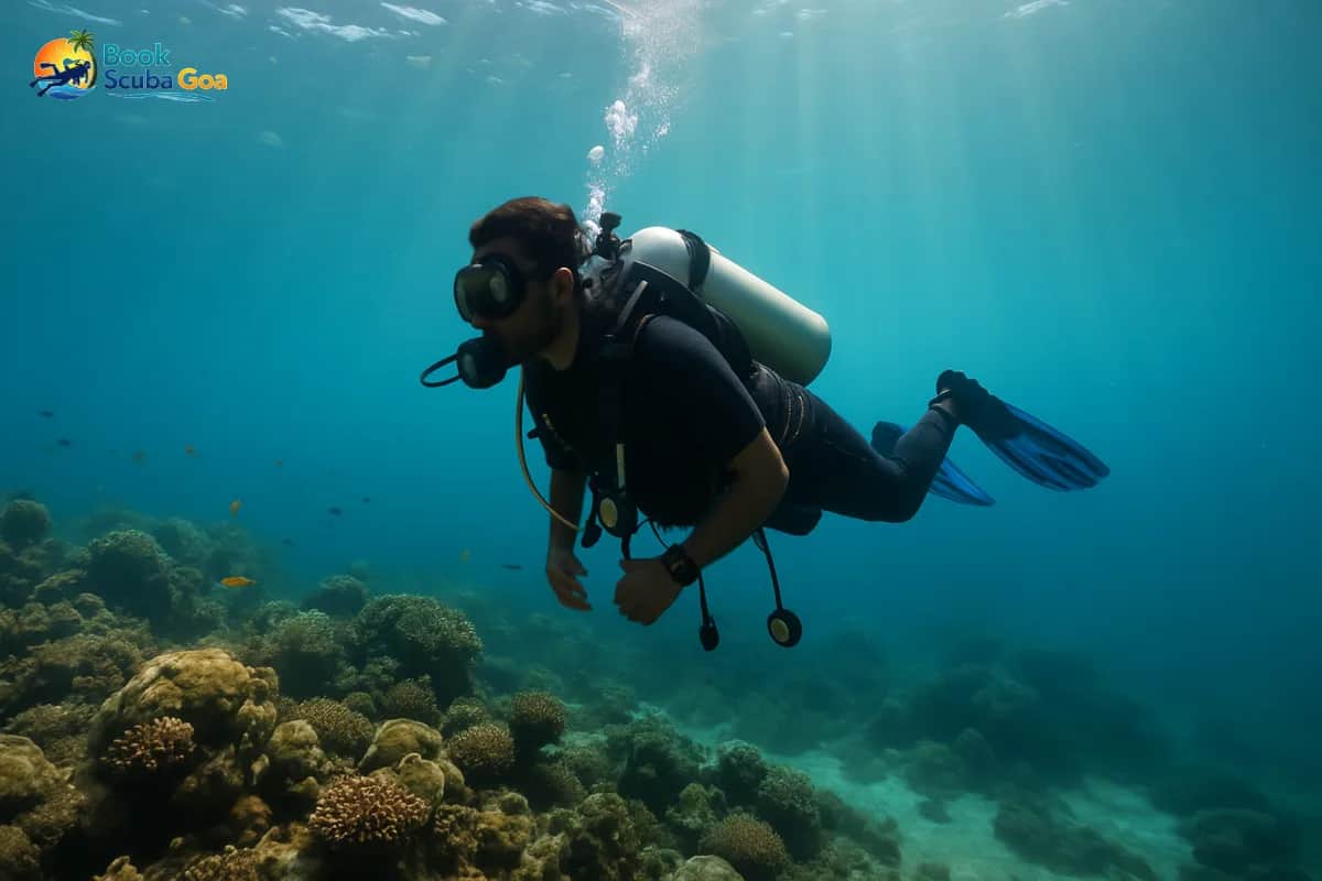 The Best Islands to Explore While Scuba Diving in Goa