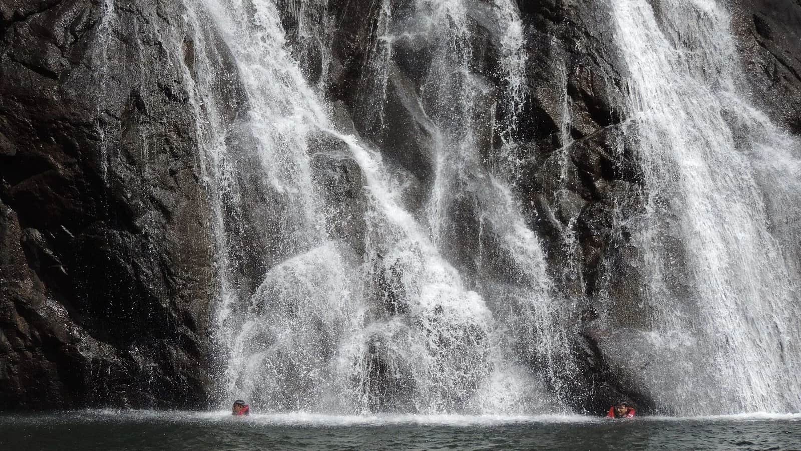 Dudhsagar Waterfall Trip in Goa with Hotel Pickup