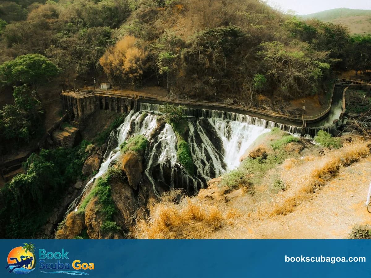Dudhsagar Waterfall Trip near Baga & Calangute: Itinerary, Cost & Honest Review