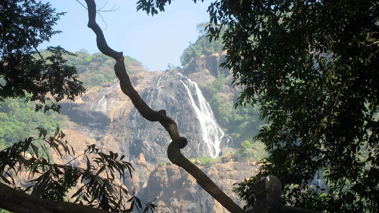 Dudhsagar Waterfall Trip Cost: Essential Guide for 2026