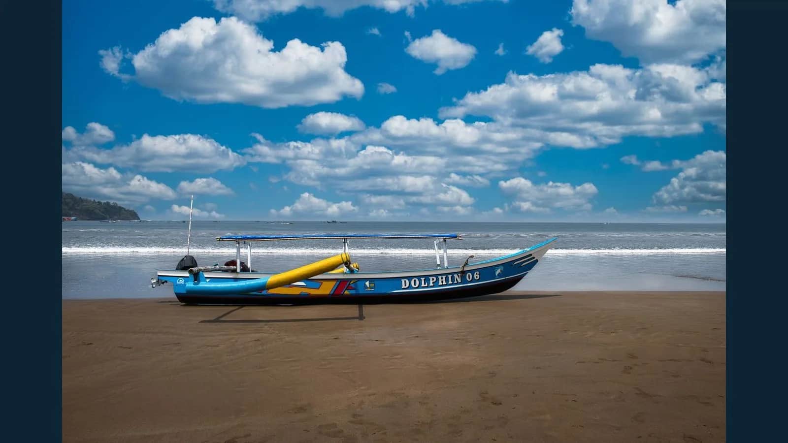 Unforgettable Dolphin Trips in Grand Island, Goa