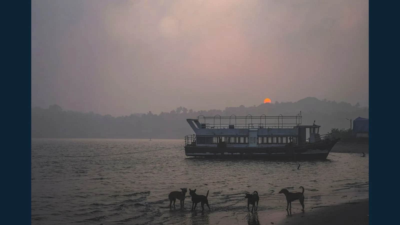Unforgettable Dolphin Trip Package in Baga, Goa