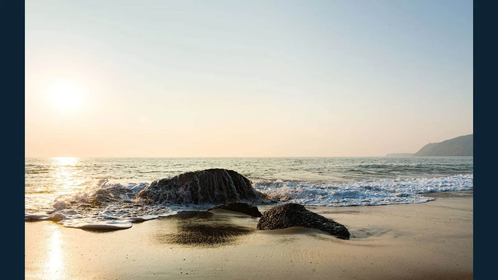Dolphin Trip Package in North Goa: An Unforgettable Adventure