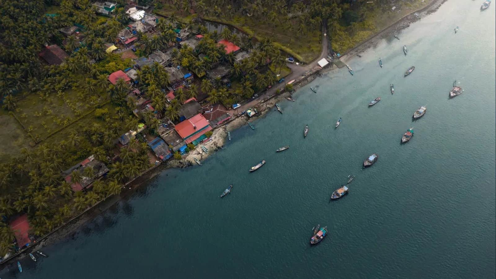 Grande Island vs Bat Island: Which Scuba Dive in Goa?
