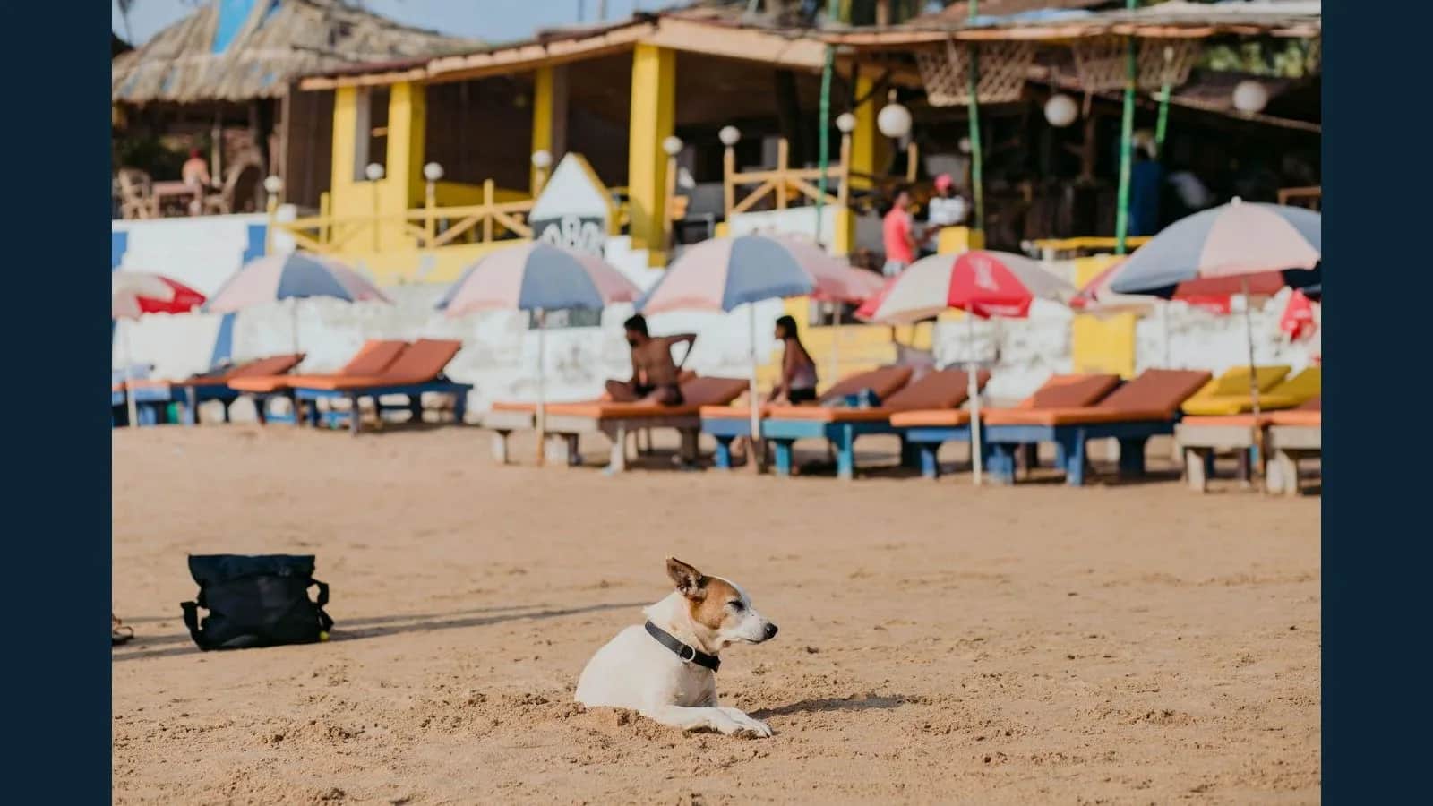 Explore South Goa: Affordable Tour Packages & Prices