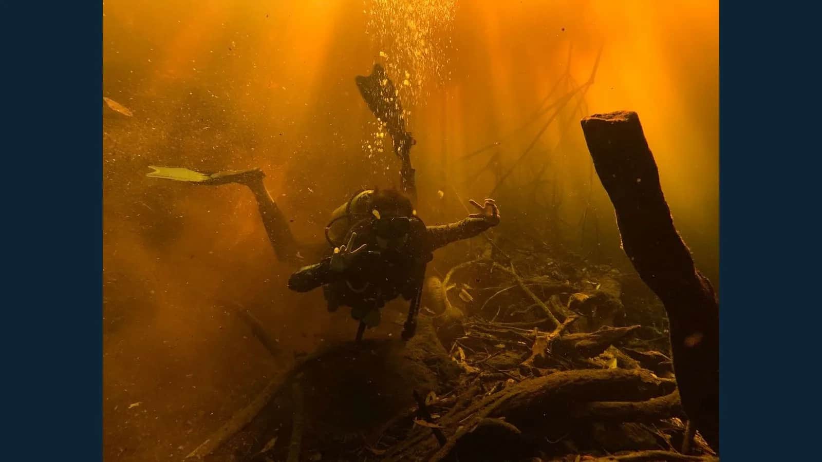 Underwater Exploration: Dive into Goa's Marine Wonders