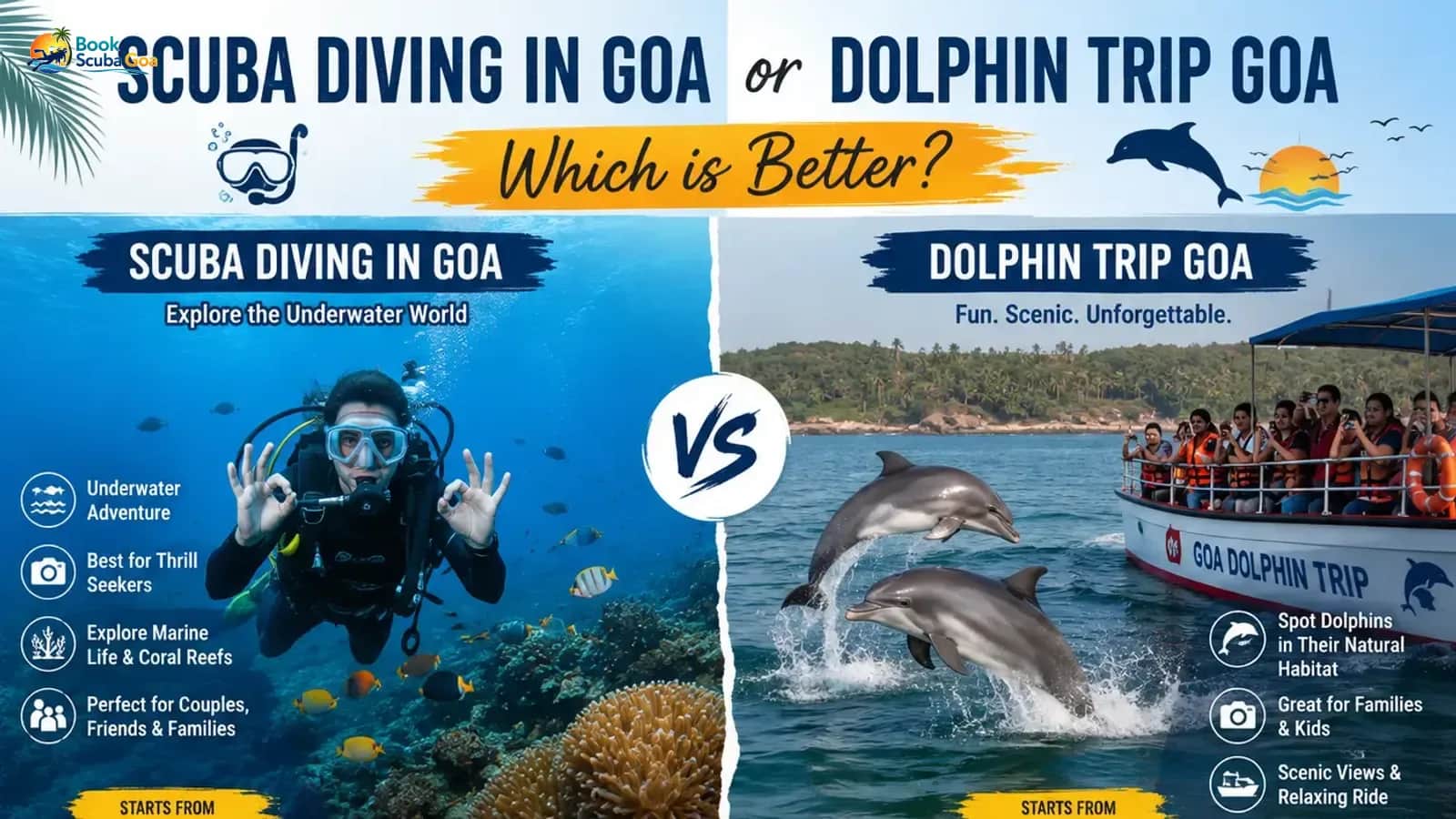 Scuba Diving in Goa vs Dolphin Trips: Which Adventure Suits You?