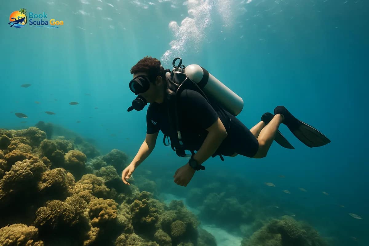 Scuba diving in Goa — scuba diving with island trip — Book Scuba Goa