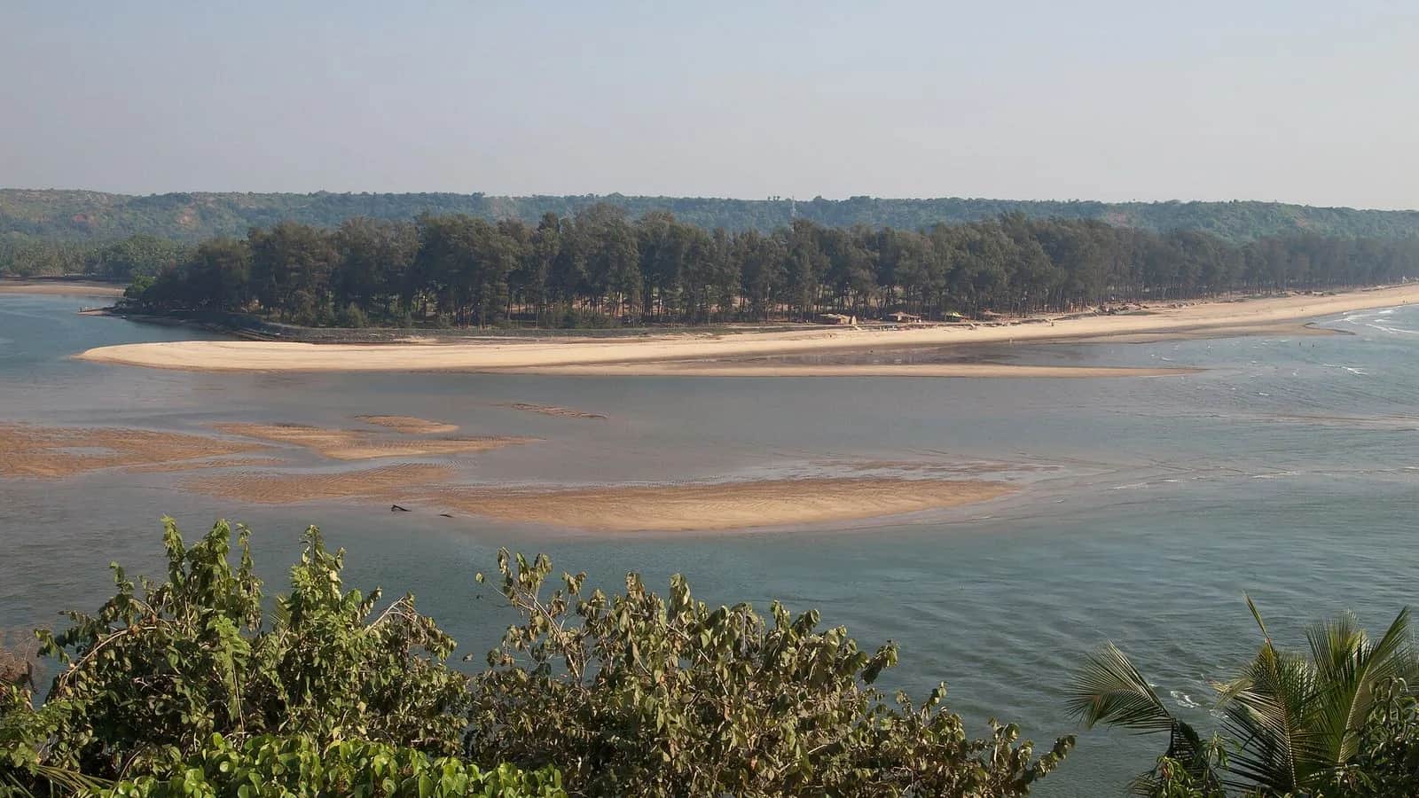 Experience the Best of Vagator Beach, Goa